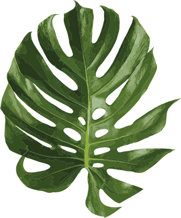 Tappeto vinile fiori foglia di monstera deliziosa - TenStickers