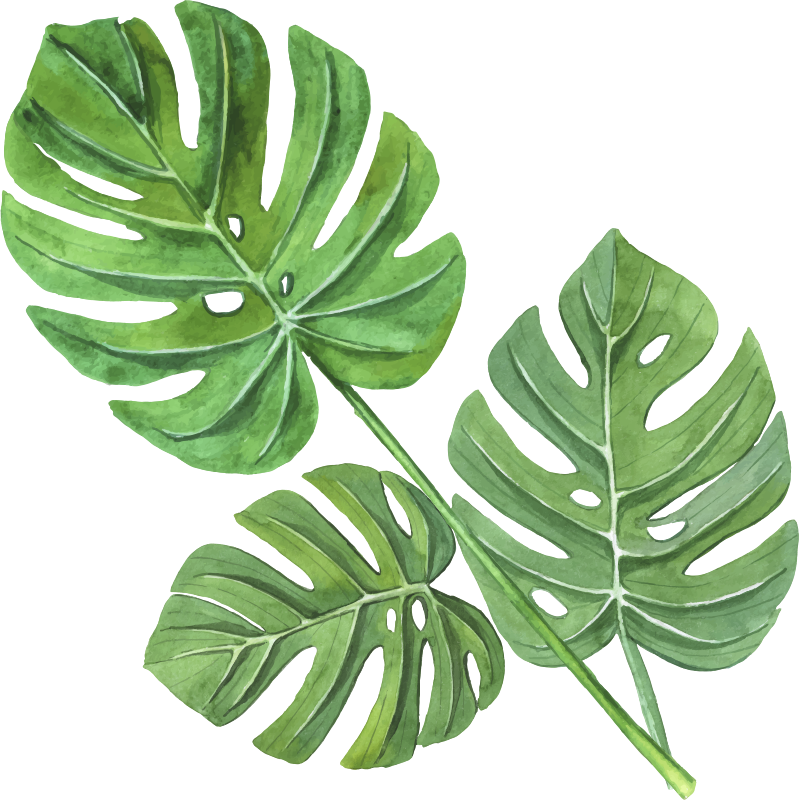 Tappeto vinile fiori foglie acquerello monstera - TenStickers