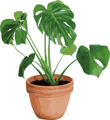 Tappeto vinile fiori vaso monstera semplice - TenStickers
