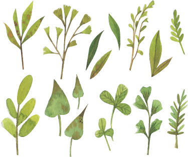 Tappeto vinile fiori foglie piccole aquarella - TenStickers