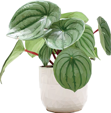 Tappeto vinile fiori pianta semplice da casa - TenStickers