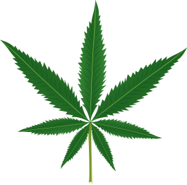 Tappeto vinile fiori foglia di marijuana - TenStickers