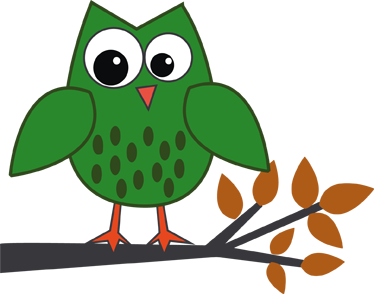 Tappeto vinile per bambini gufo verde su un ramo - TenStickers