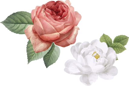 Tappeto vinile camera da letto rose bianche e rosa - TenStickers