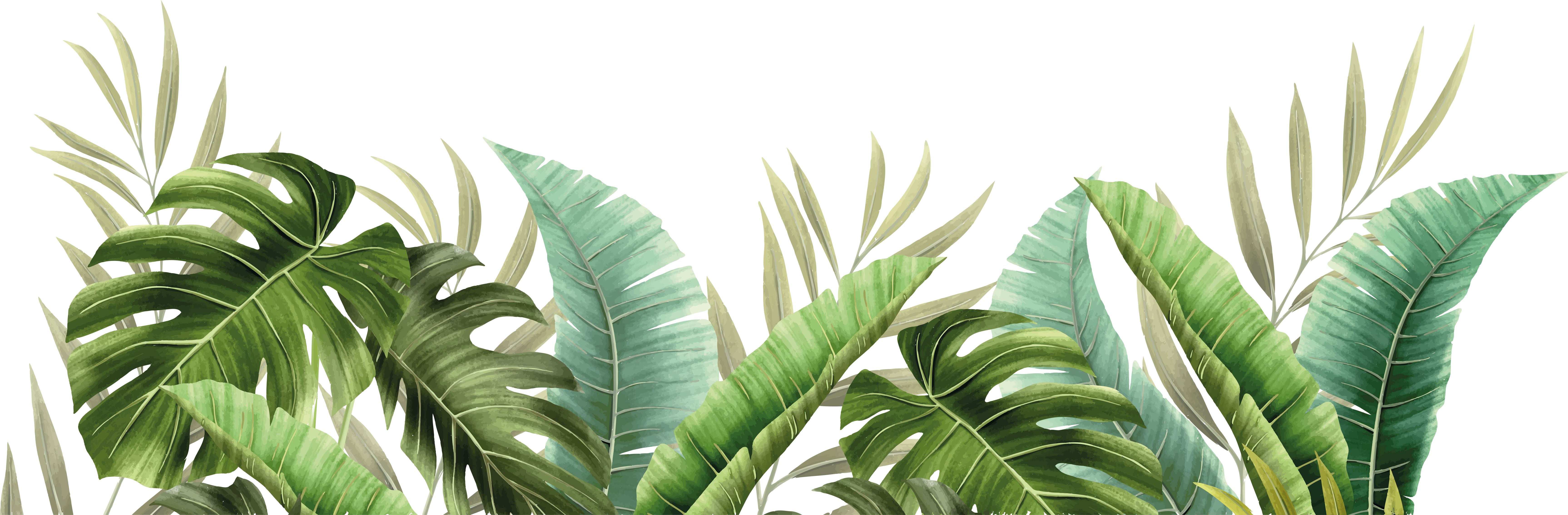 Tappeto vinile bagno piante tropicali - TenStickers