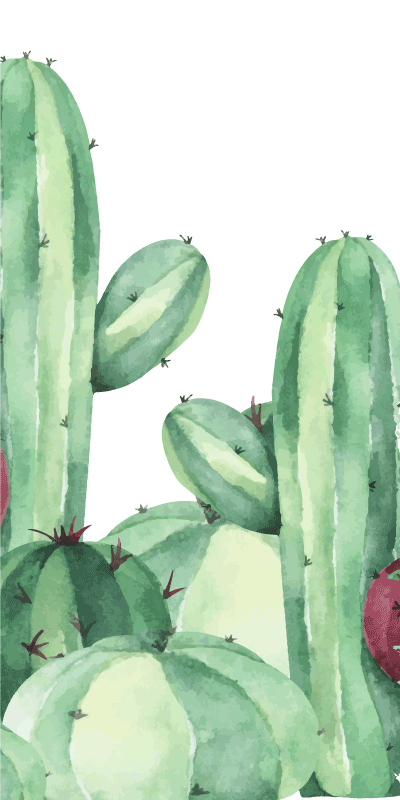 Tappeto vinile bagno piante di cactus - TenStickers