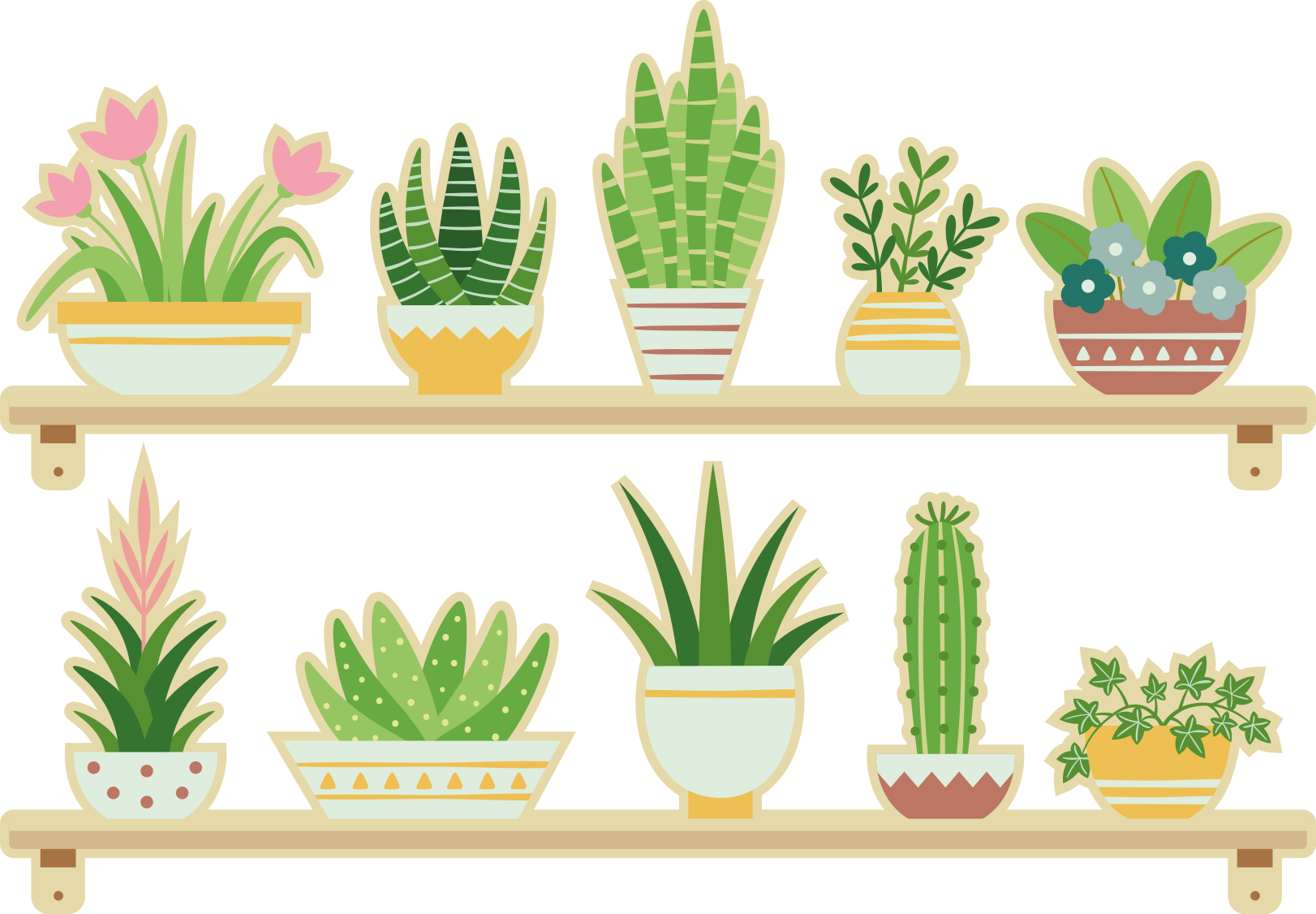 Tappeto pvc cucina set mensola piante cactus - TenStickers
