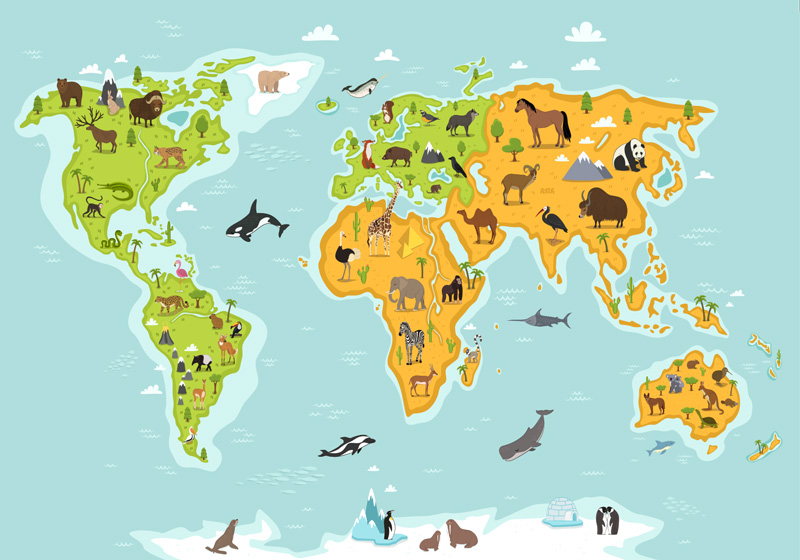 Tappeto vinile mappamondo fauna e flora - TenStickers