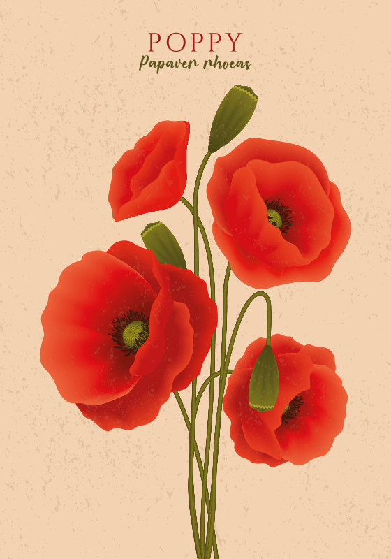 Tappeto vinile fiori papaveri - TenStickers