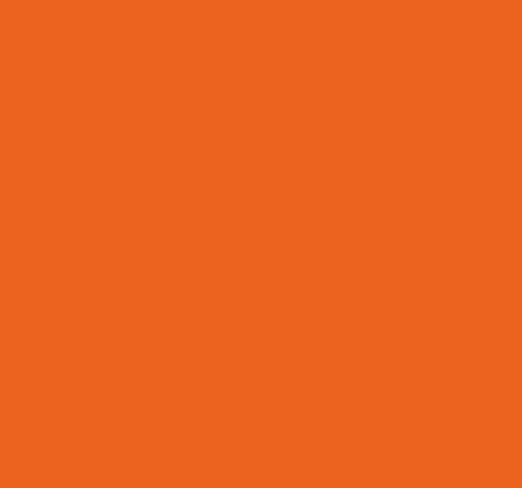 Tappeto vinile arancione arancia citrus - TenStickers