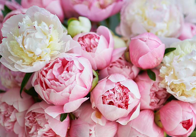 Tappeto vinile rosa bouquet di rose rosa - TenStickers