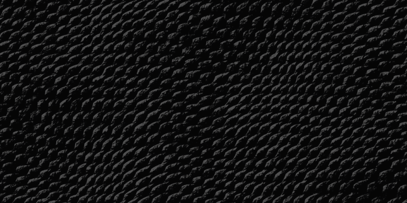 Tappeto in vinile con testi rettile nero - TenStickers