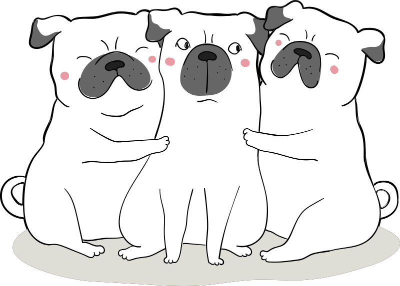 Tappeto di vinile animali adorable Pug Trio - TenStickers