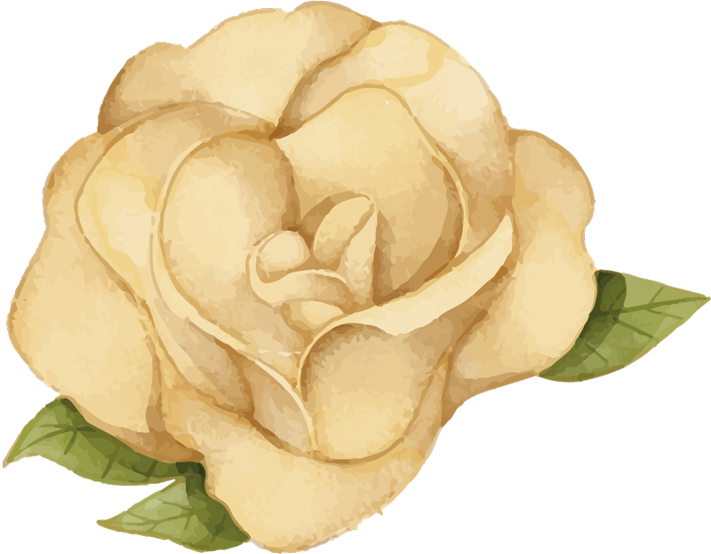 Tappeto vinile fiori contorno floreale - TenStickers