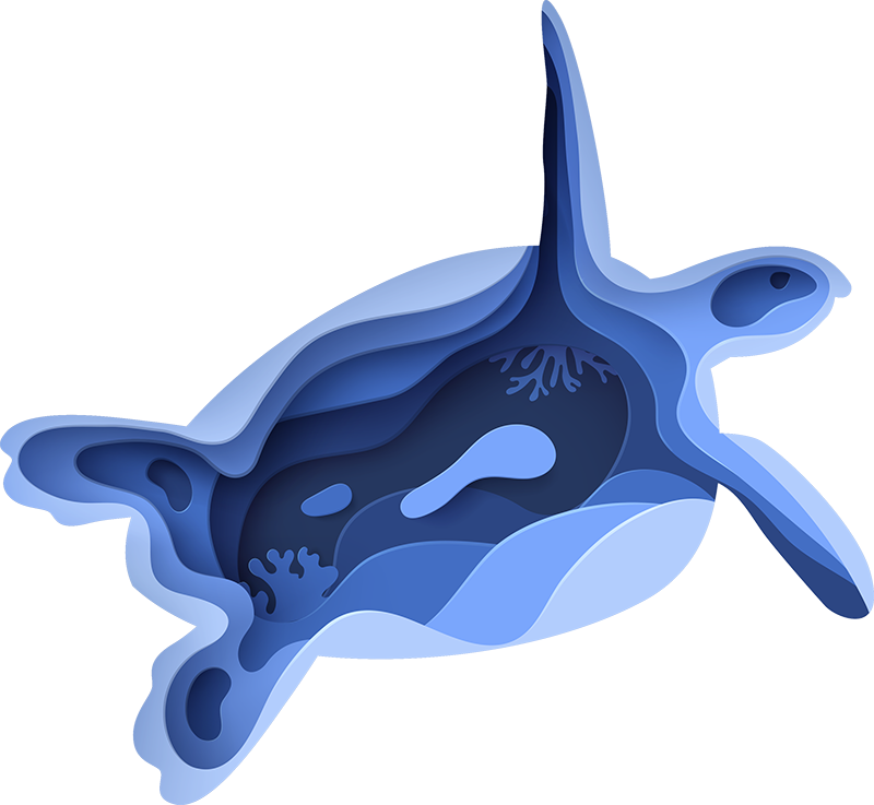 Tappeto vinile animali forma di tartaruga marina - TenStickers