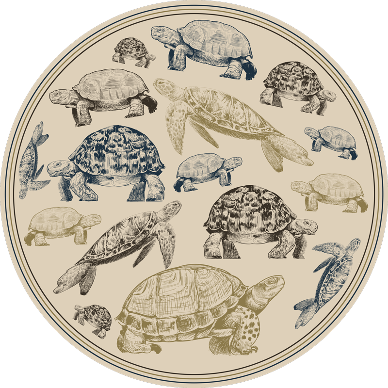Tappeto vinile animali illustrazioni di tartarughe - TenStickers