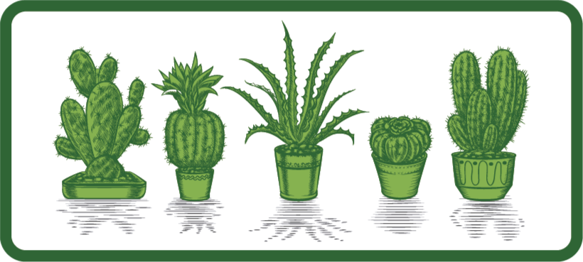 Tappeto vinile fiori collezione di cactus - TenStickers