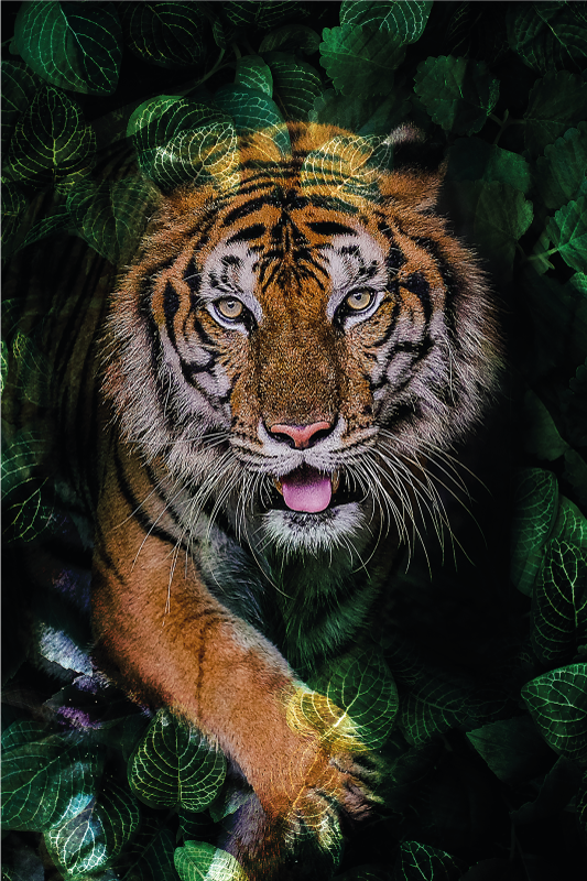 Tappeto vinile animali rappresentazione tigre foliage - TenStickers