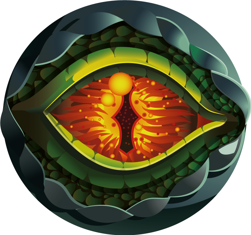 Tappeto vinile natura occhio astratto della natura - TenStickers