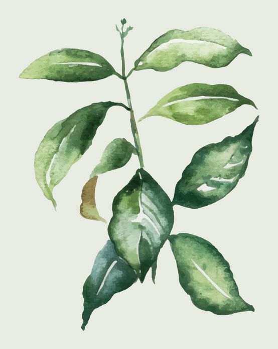 Tappeto vinile fiori illustrazione di foglie botaniche - TenStickers