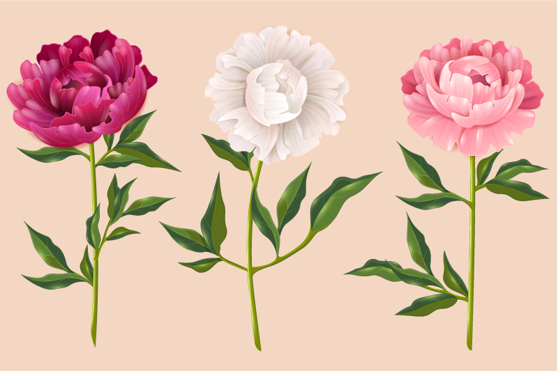 Tappeto vinile bagno elegante arrangiamento in trio - TenStickers