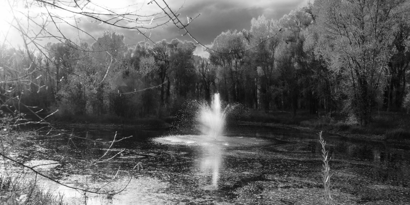 Tappeto vinile natura vista serena della cascata - TenStickers