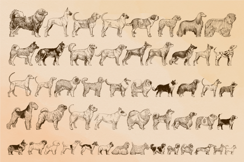 Tappeto vinile animali illustrazioni di cani beige - TenStickers