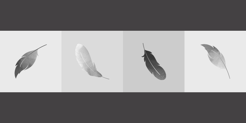 Tappeto vinile animali minimalismo delle piume - TenStickers