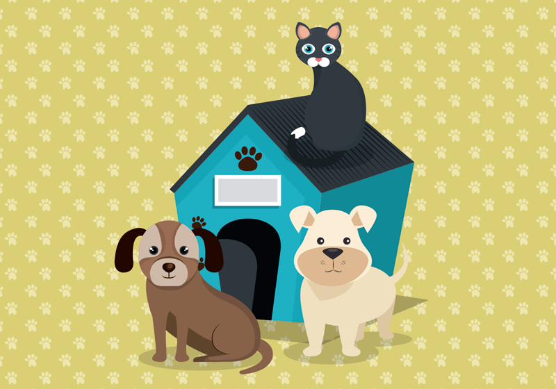Tappeto vinile animali cani a casa - TenStickers