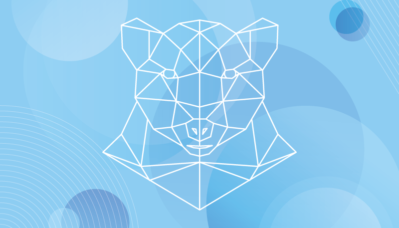 Tappeto vinile animali contorno geometrico dell'orso - TenStickers