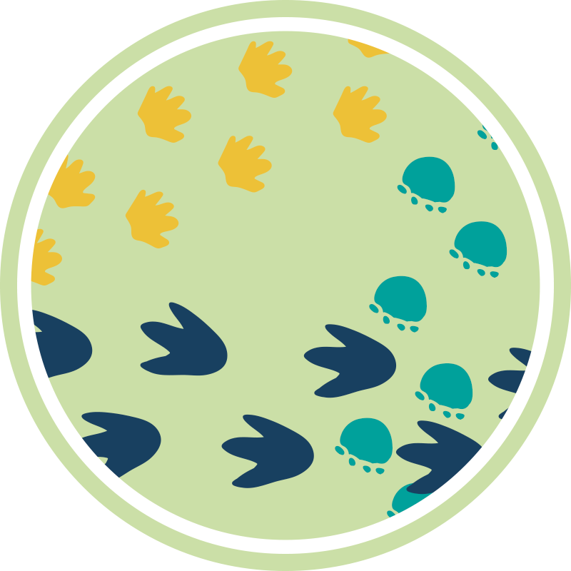 Tappeto vinile per bambini disegno di impronte di dinosauro - TenStickers