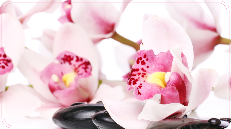 Tappeto vinile fiori elegante design di orchidea - TenStickers