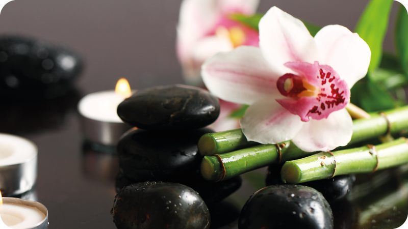 Tappeto vinile natura serenità orchidea - TenStickers