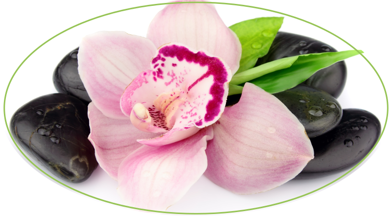 Tappeto vinile fiori elegante composizione di orchidee - TenStickers