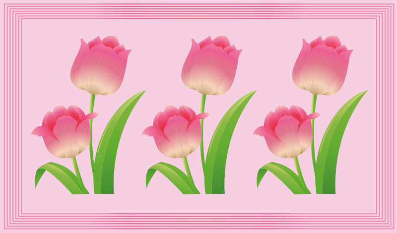 Tappeto vinile fiori esposizione di tulipani rosa - TenStickers