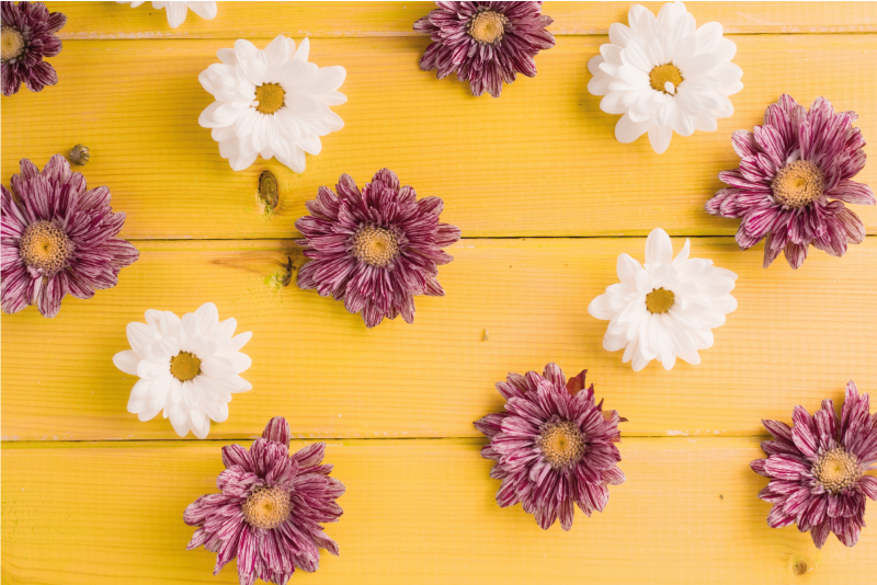 Tappeto vinile fiori petali rosa e bianchi - TenStickers