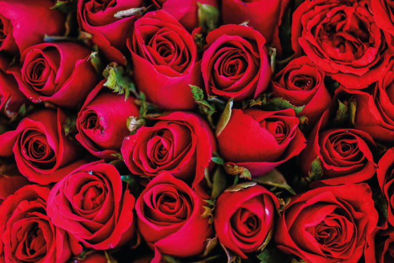 Tappeto vinile fiori mazzo di rose - TenStickers