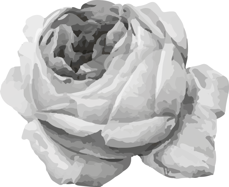 Tappeto vinile fiori fiore di rosa - TenStickers