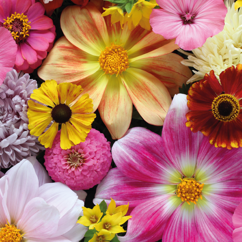 Tappeto vinile fiori bella disposizione realistica - TenStickers