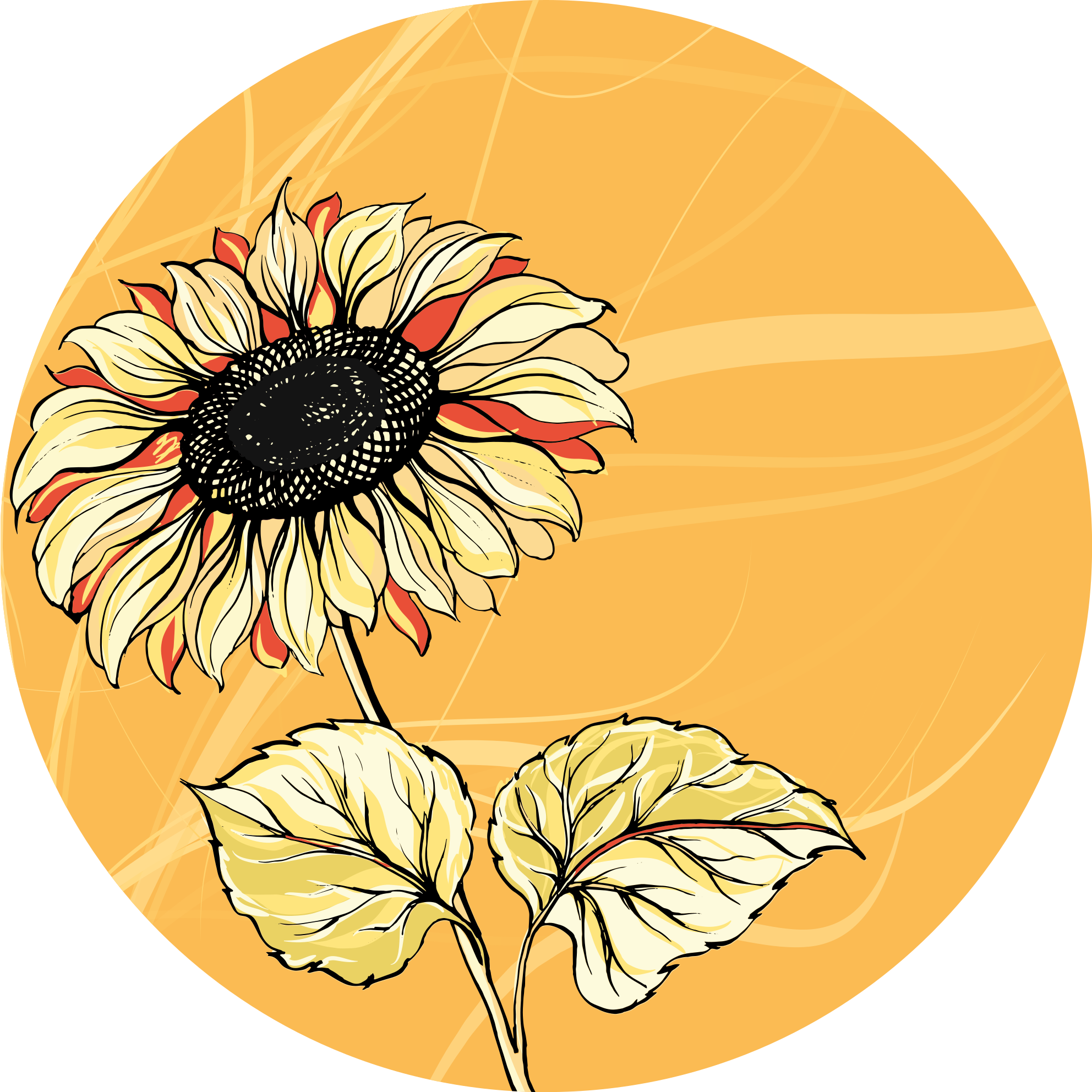 Tappeto vinile fiori fiore di girasole luminoso - TenStickers