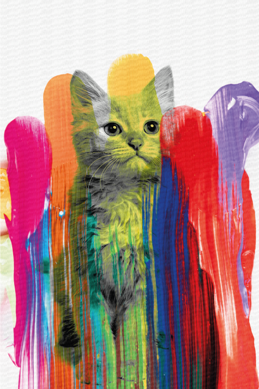 Tappeto vinile moderno ritratto di gatto colorato - TenStickers