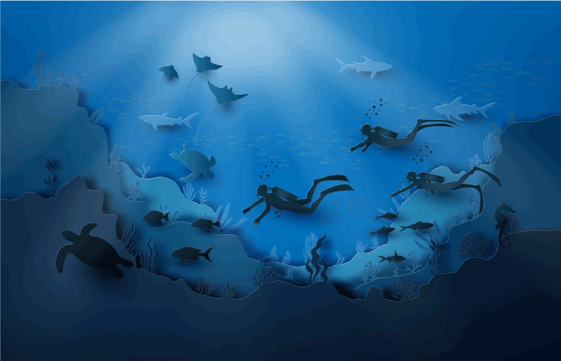 Tappeto vinile natura esplorazione subacquea - TenStickers