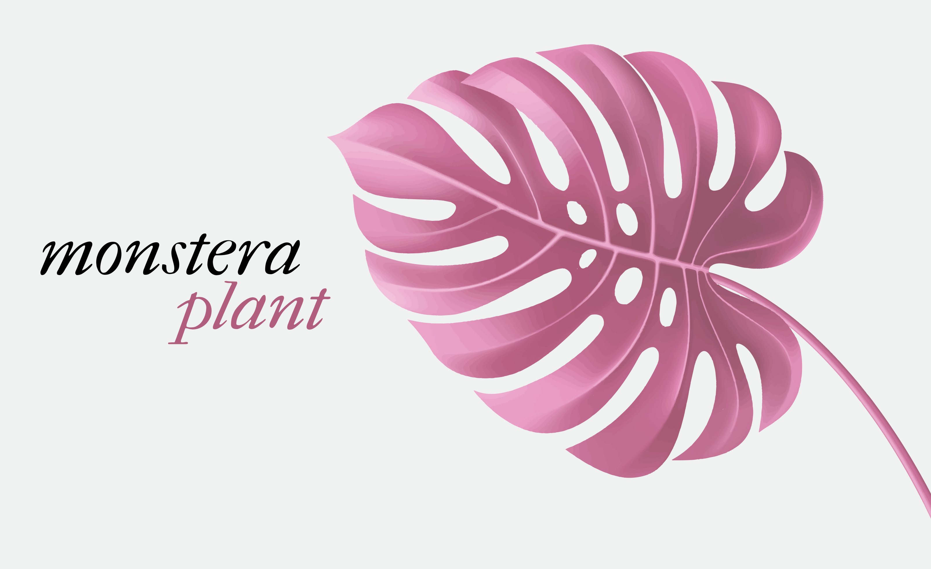 Tappeto vinile fiori pianta di monstera rosa - TenStickers