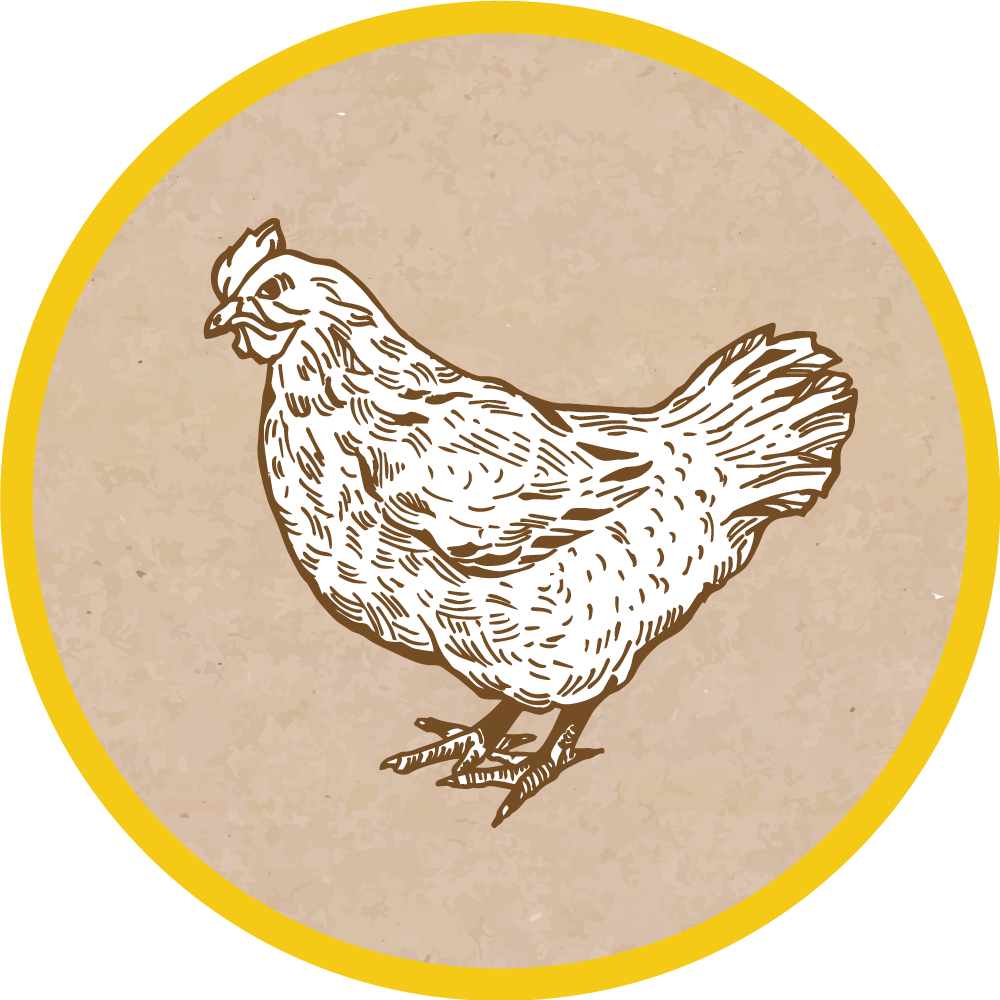 Tappeto vinile animali illustrazione di pollo - TenStickers