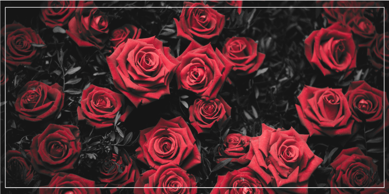 Tappeto vinile fiori design realistico di rose rosse - TenStickers