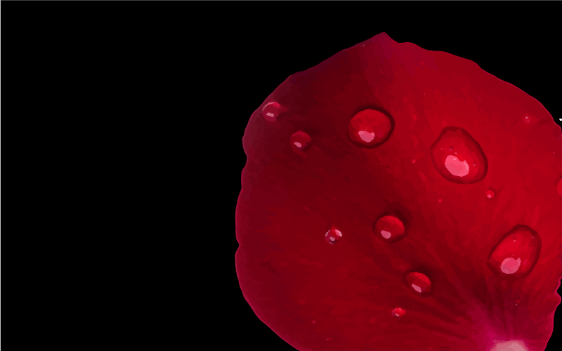 Tappeto in vinile soggiorno glamour petalo rosso - TenStickers