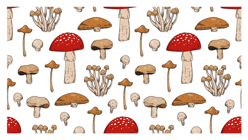 Tappeto vinile natura paesaggio onirico di funghi - TenStickers