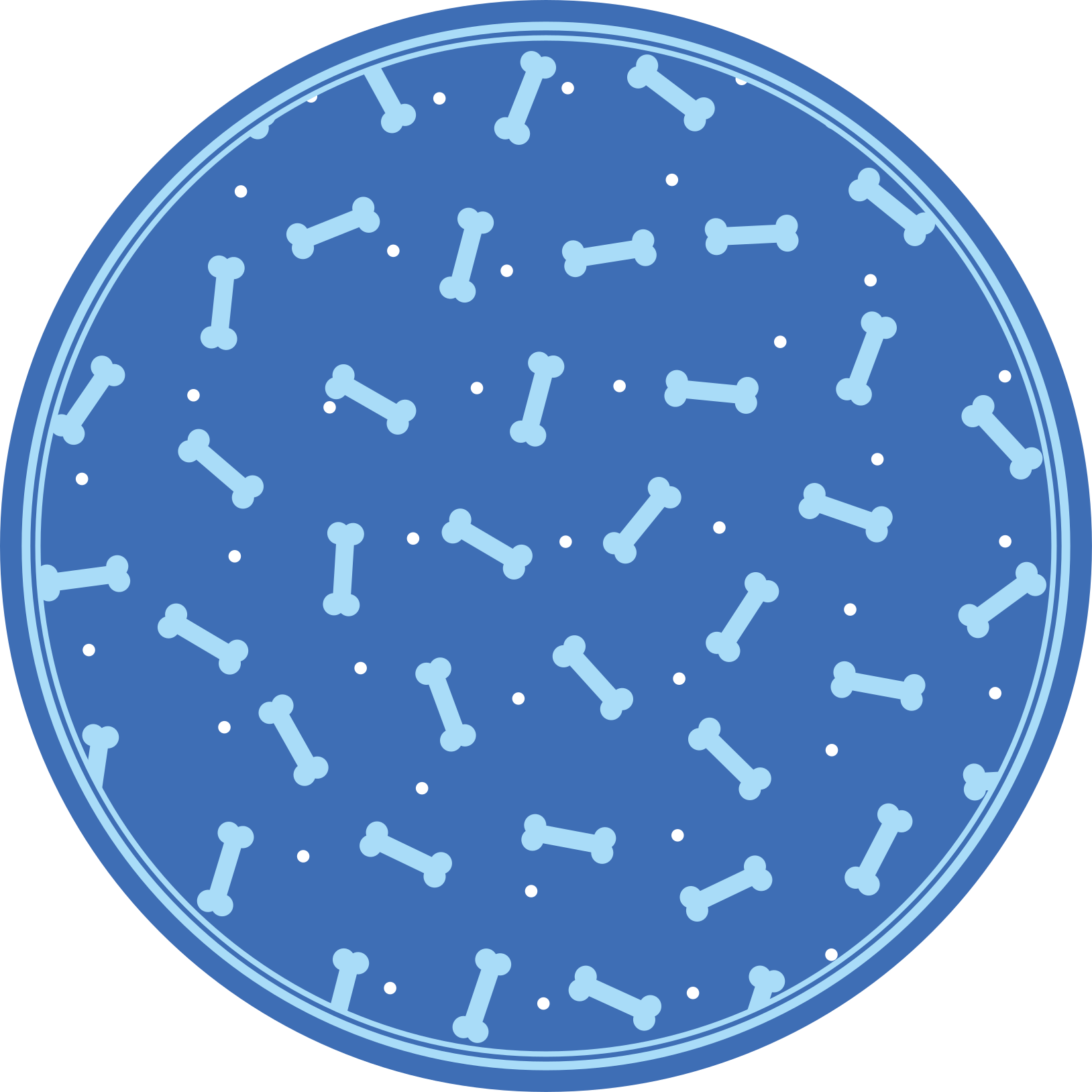 Tappeto vinile rotondo gioco di motivi ossei - TenStickers