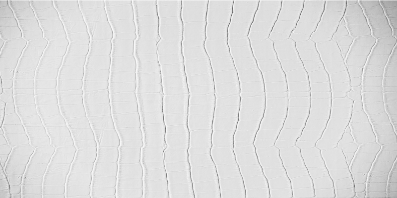 Tappeto vinile stampa animale coccodrillo elegante - TenStickers