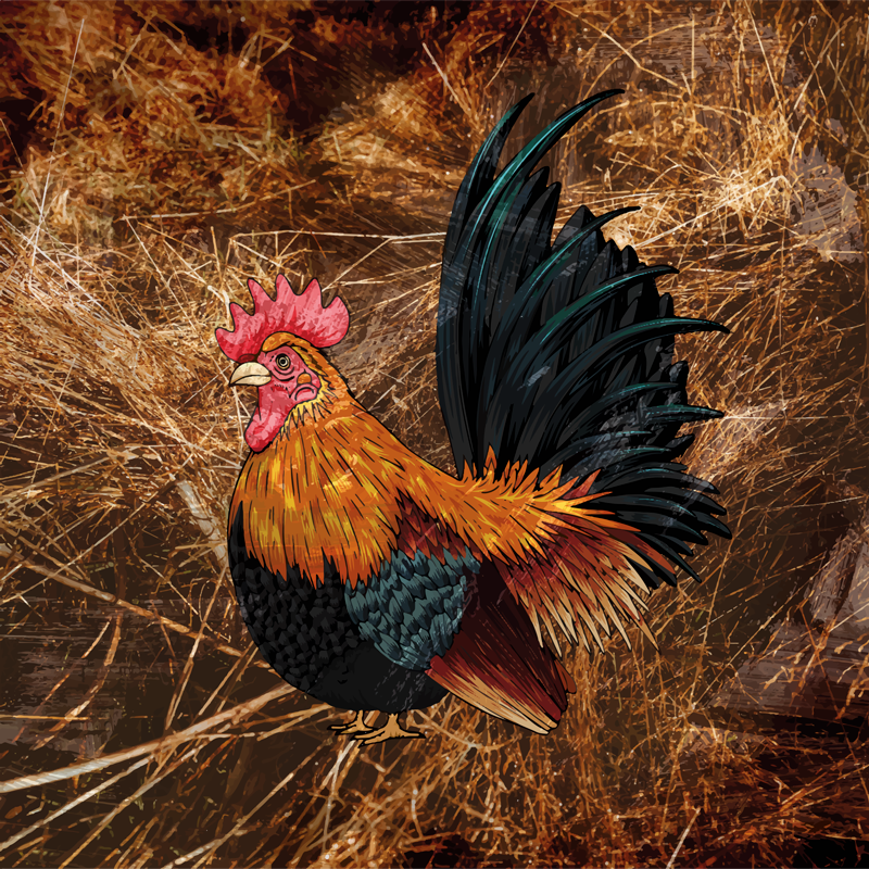 Tappeto vinile stampa animale raffigurazione gallo vivace - TenStickers